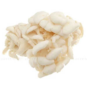 Nấm bào ngư trắng