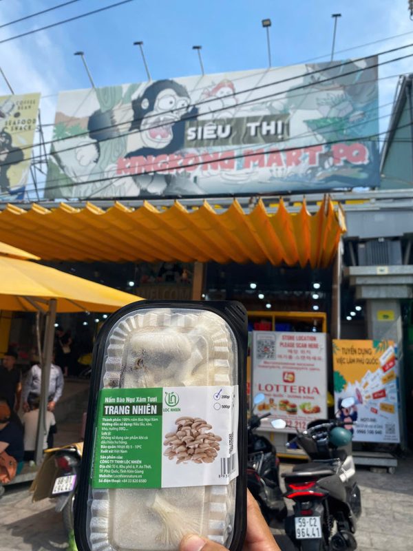 Nấm bào ngư xám tươi