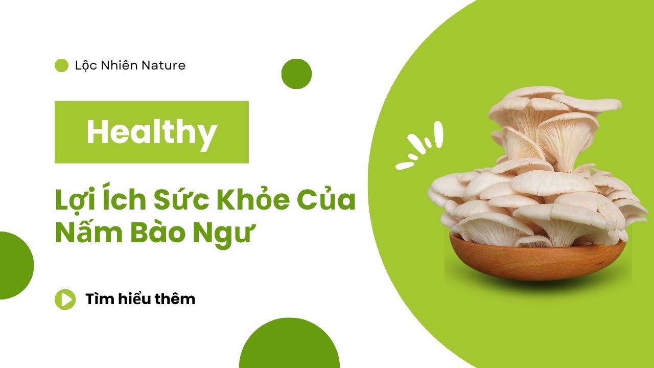 Lợi ích sức khỏe của nấm bào ngư