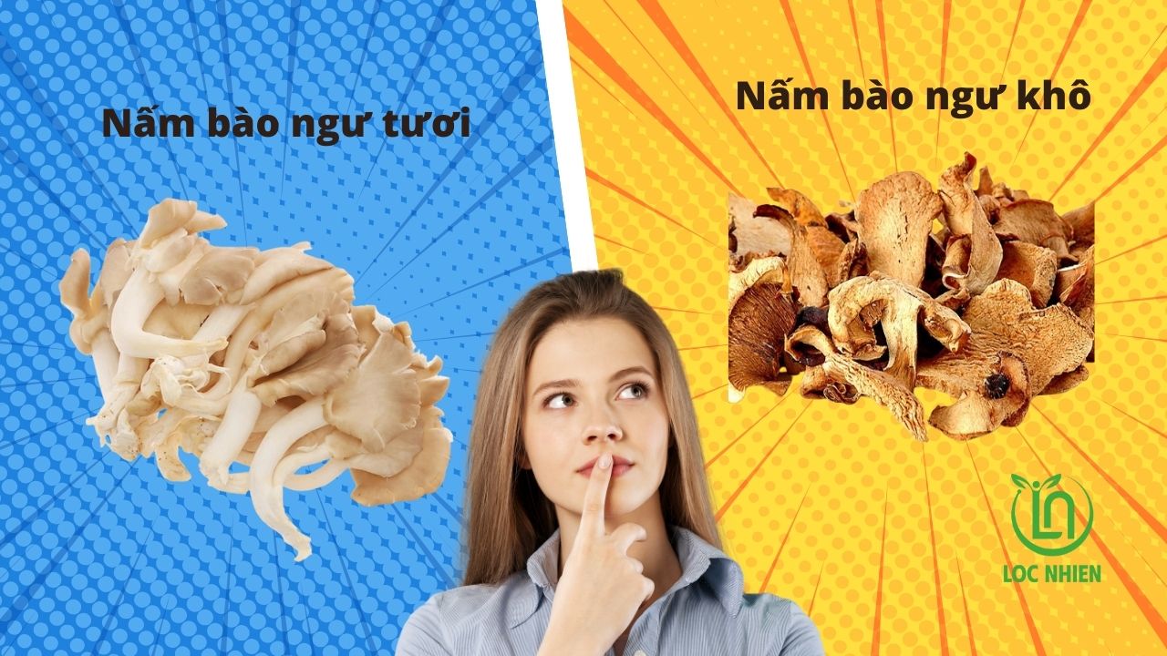 Sự khác biệt giữa nấm bào ngư tươi và nấm bào ngư khô