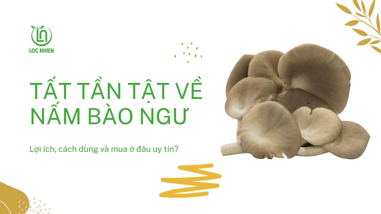 Tất tần tật về nấm bào ngư