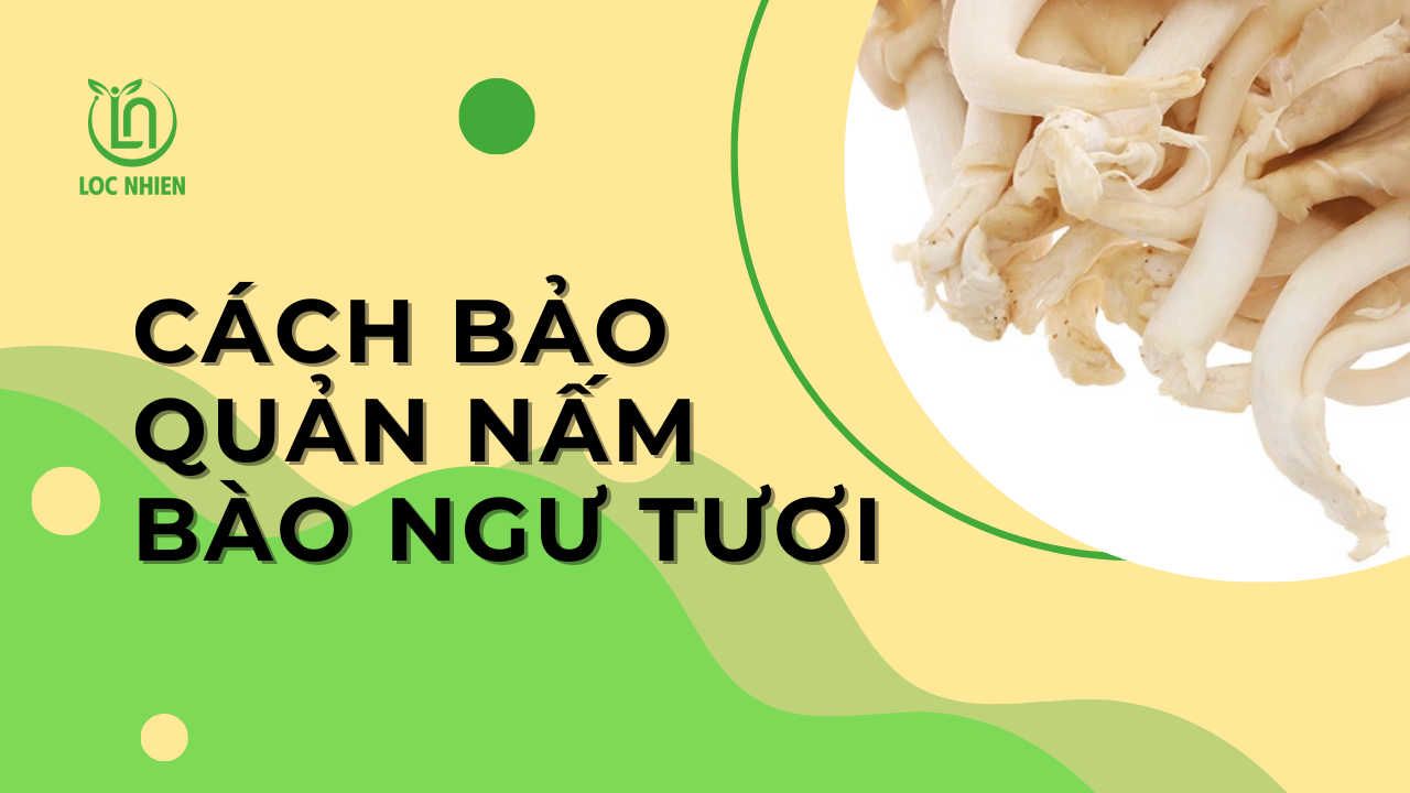 Cách bảo quản nấm bào ngư tươi