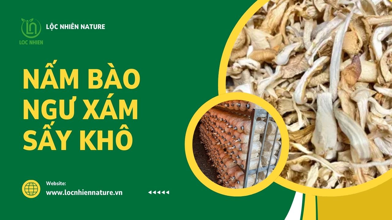Nấm bào ngư xám sấy khô