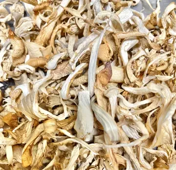 Nấm bào ngư xám sấy khô